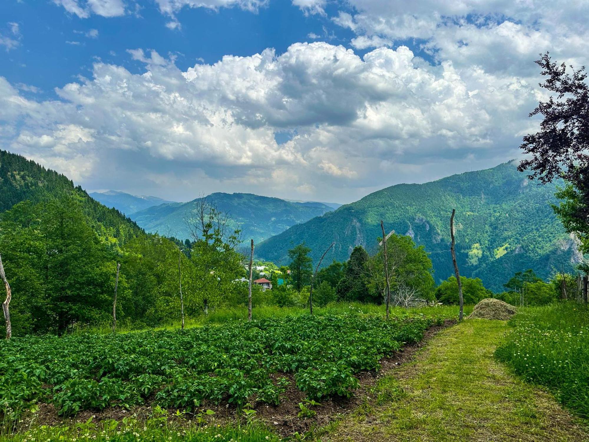Armazi 호텔 Khulo 외부 사진